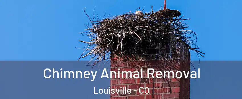  Chimney Animal Removal Louisville - CO