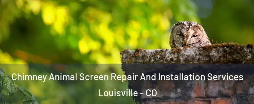  Chimney Animal Screen Repair And Installation Services Louisville - CO