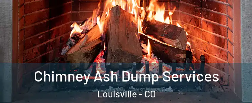  Chimney Ash Dump Services Louisville - CO