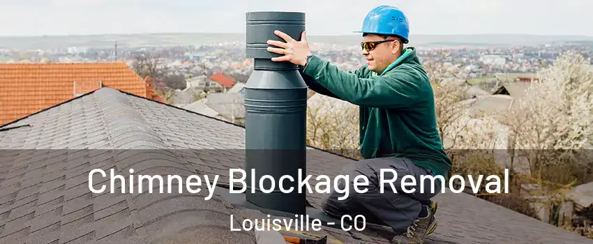  Chimney Blockage Removal Louisville - CO
