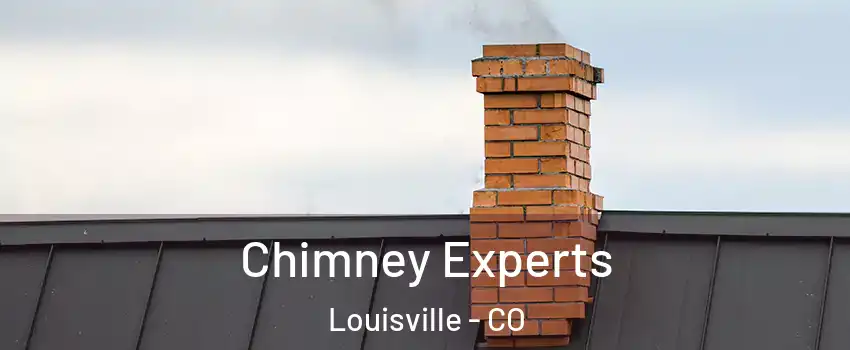  Chimney Experts Louisville - CO