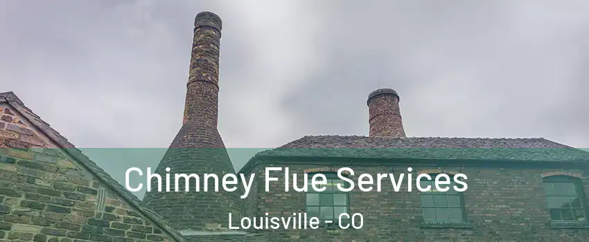  Chimney Flue Services Louisville - CO