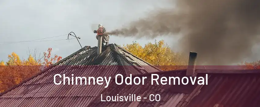  Chimney Odor Removal Louisville - CO