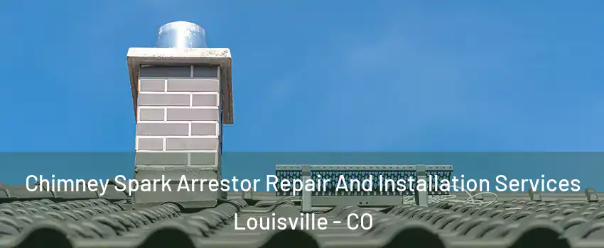  Chimney Spark Arrestor Repair And Installation Services Louisville - CO