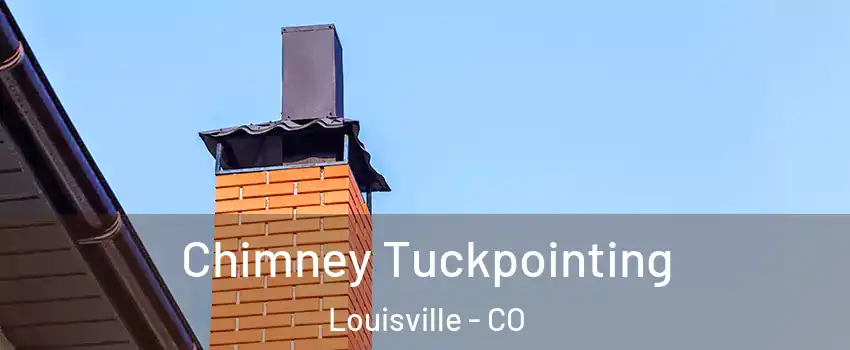  Chimney Tuckpointing Louisville - CO