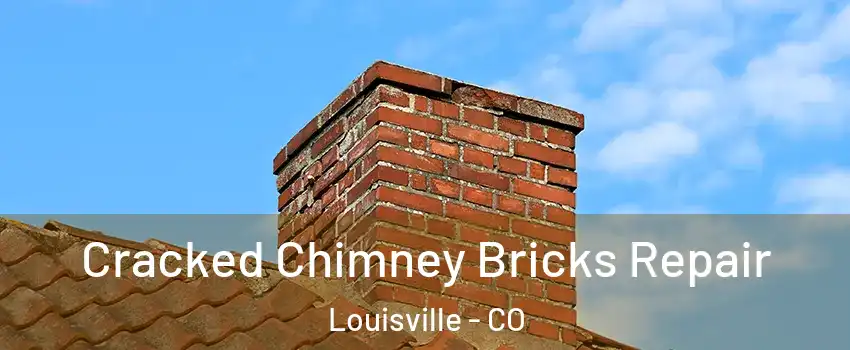  Cracked Chimney Bricks Repair Louisville - CO
