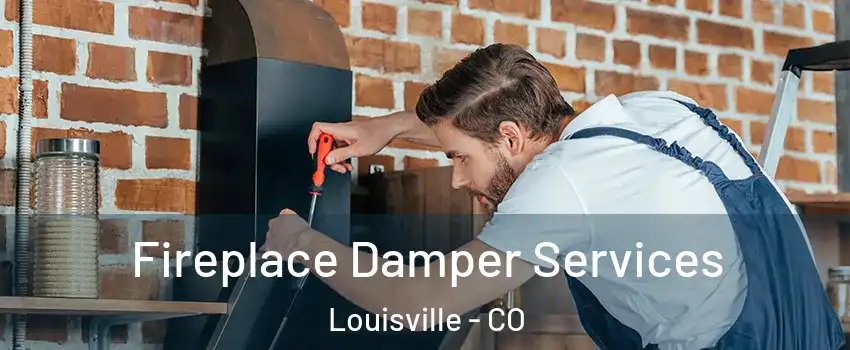  Fireplace Damper Services Louisville - CO