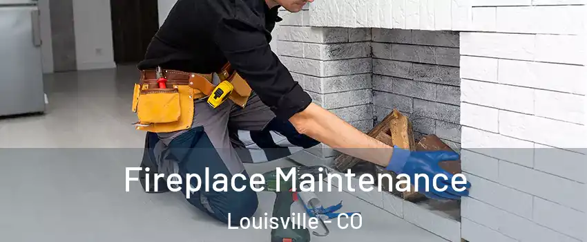  Fireplace Maintenance Louisville - CO