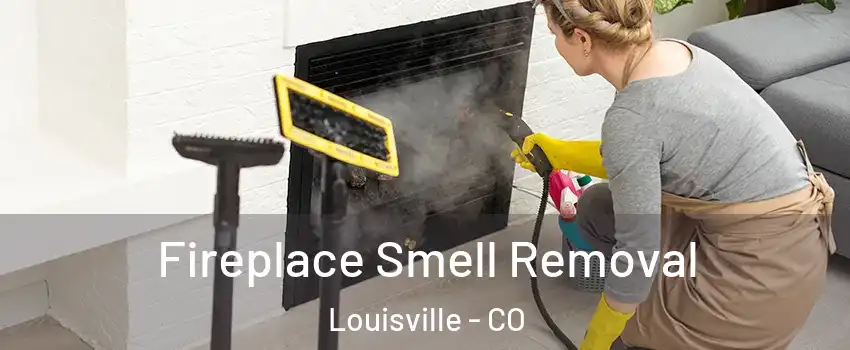  Fireplace Smell Removal Louisville - CO