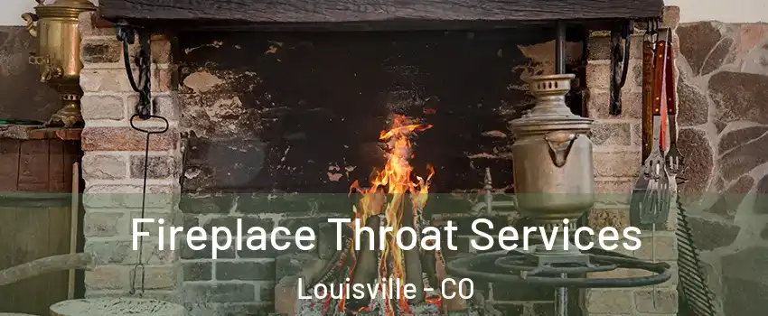  Fireplace Throat Services Louisville - CO