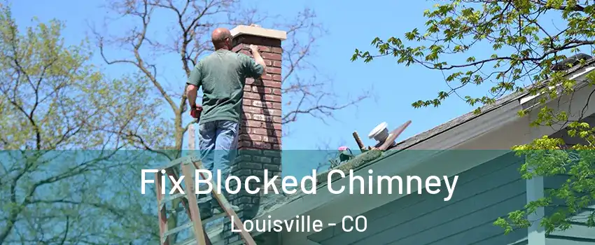  Fix Blocked Chimney Louisville - CO