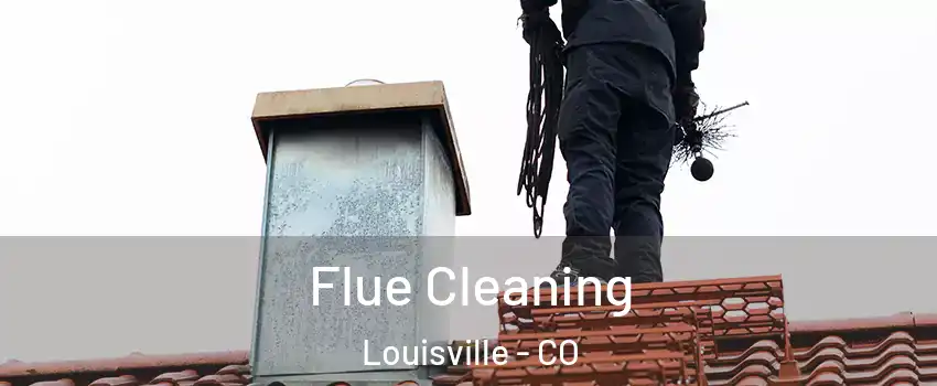  Flue Cleaning Louisville - CO
