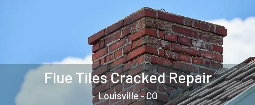  Flue Tiles Cracked Repair Louisville - CO