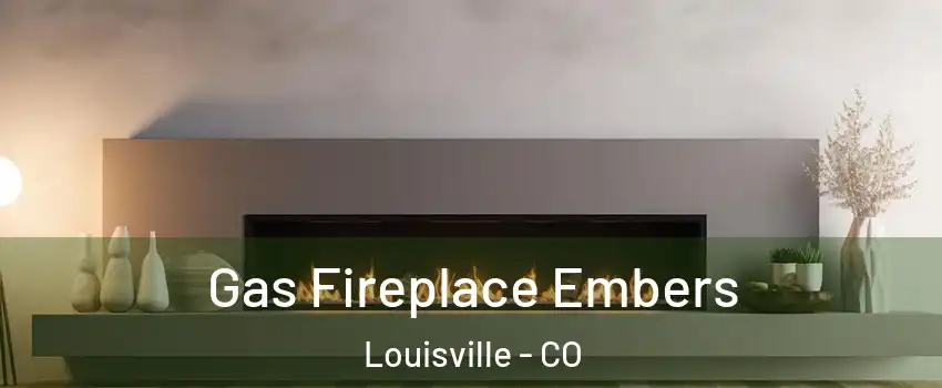  Gas Fireplace Embers Louisville - CO