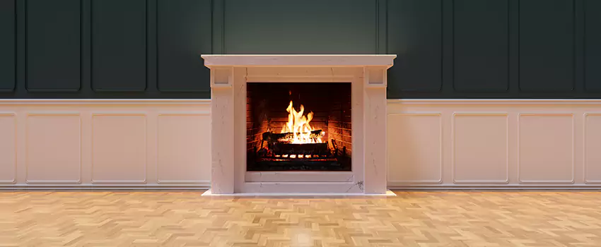 Napoleon Electric Fireplaces Inspection Service in Louisville, Colorado
