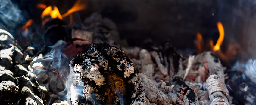 Creosote Removal Experts in Louisville, CO