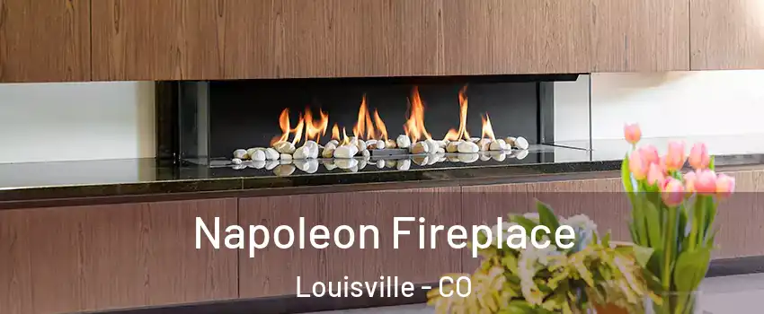  Napoleon Fireplace Louisville - CO