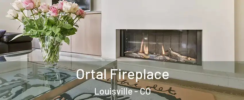  Ortal Fireplace Louisville - CO