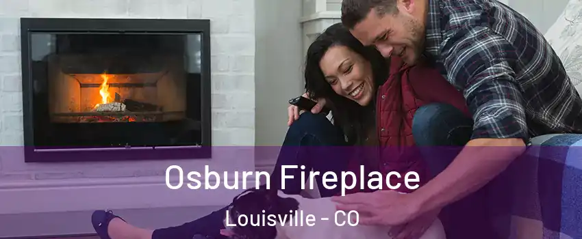  Osburn Fireplace Louisville - CO